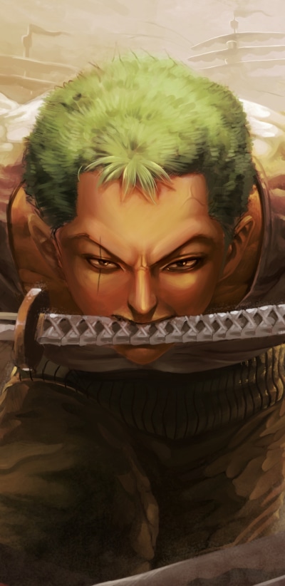 Anime One Piece, Roronoa Zoro, 1440x2960