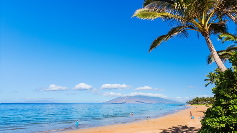 Maui, Hawaii, beach, ocean, coast, palm, sky, 4K HD Wallpaper