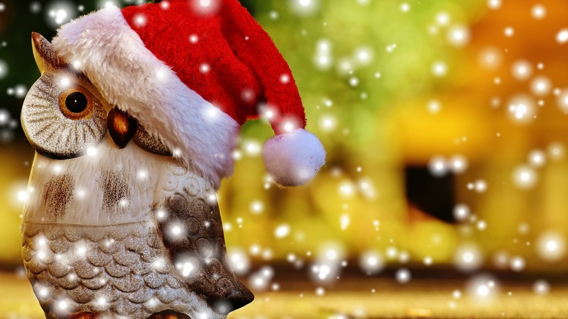 Christmas, New Year, owl, 4K