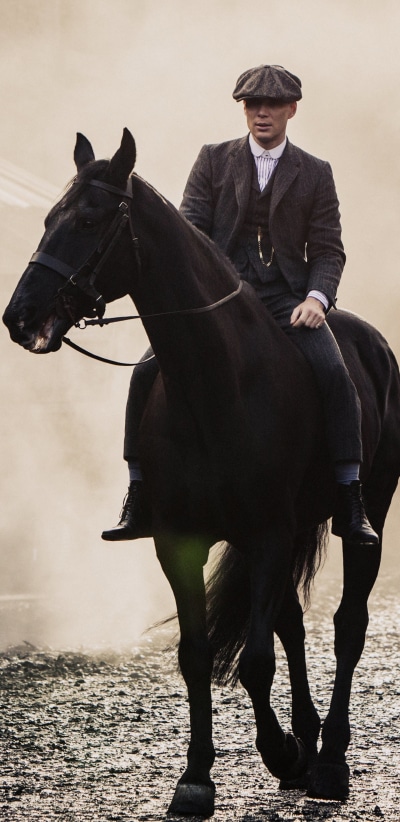 TV Show Peaky Blinders, Horse, 1440x2960