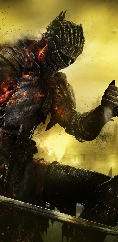 Video Game Dark Souls III, Warrior, Dark Souls, Soul Of Cinder, 1440x2960