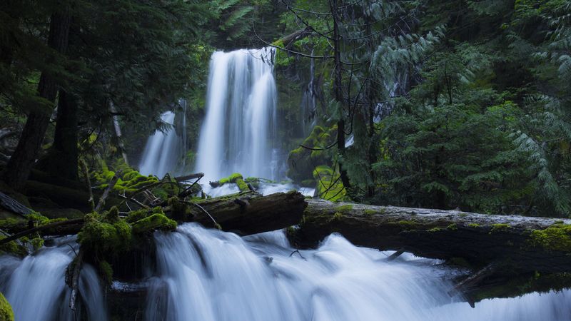 waterfall, moss, forest, trees, 4k