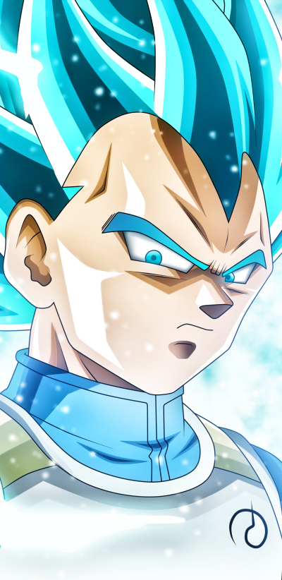 Anime Dragon Ball Super, Vegeta (Dragon Ball), 1440x2960