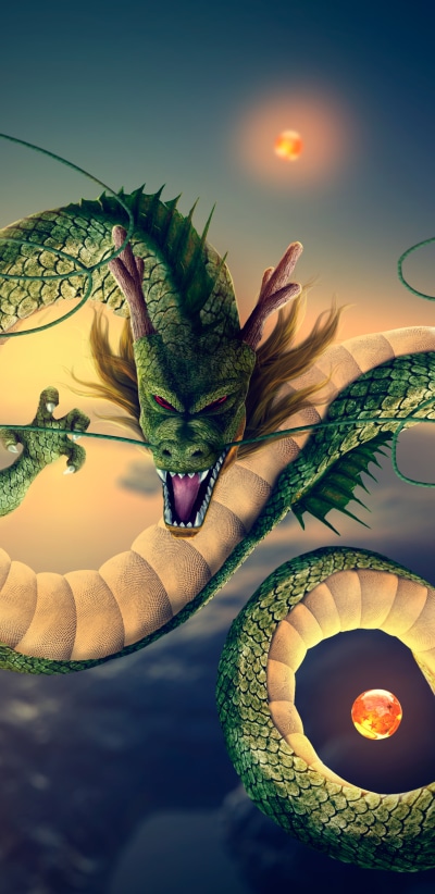 Anime Dragon Ball Z, Shenron (Dragon Ball), 1440x2960