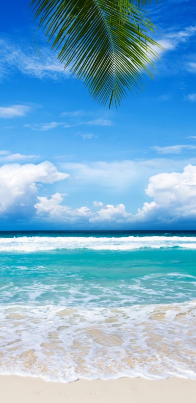 Earth Ocean, Horizon, Nature, Tropical, Sky, Cloud, 1440x2960