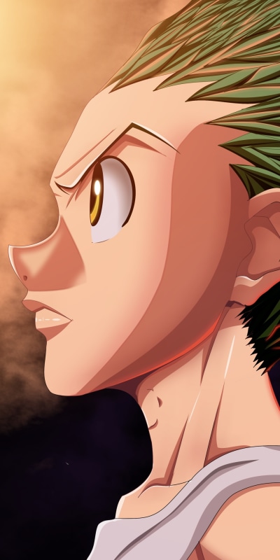 Anime Hunter x Hunter, Gon Freecss, 1440x2880