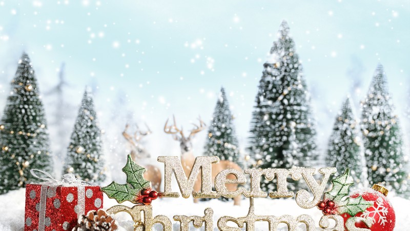 Christmas, snow, gifts, fir-tree, 4K