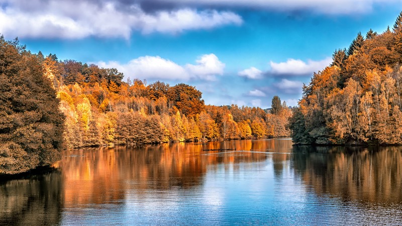 Autumn, lake, forest, 4K
