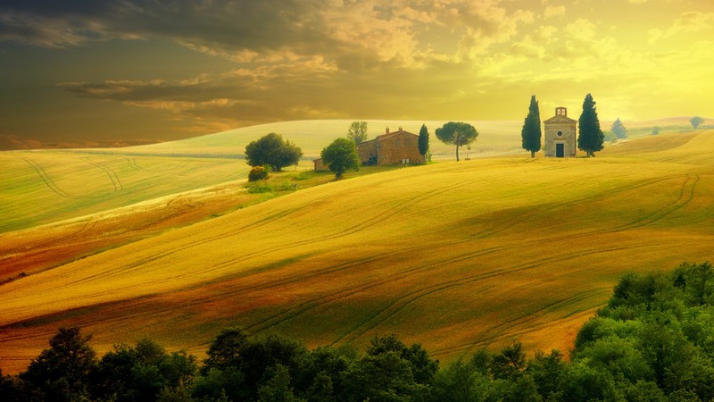 Tuscany, Italy, hills, field, 4K