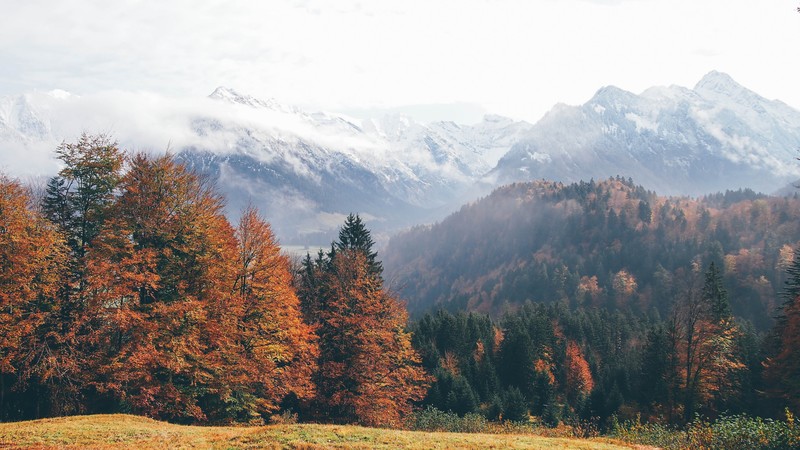 Oberstdorf, Germany, mountains, autumn, forest, 4k