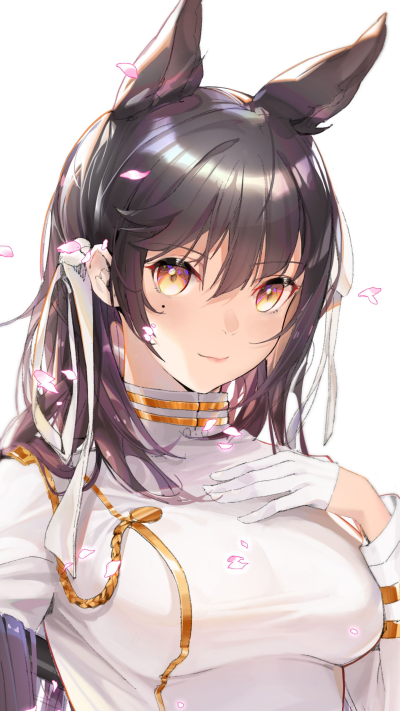 Anime Azur Lane, Animal Ears, Atago (Azur Lane), 1440x2560