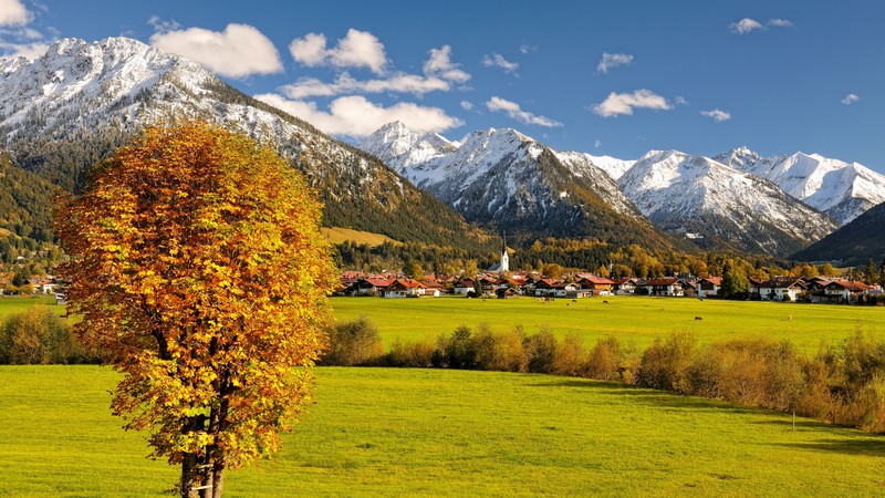 Allgaeu, Germany, Europe, mountains, autumn, tree, 4K
