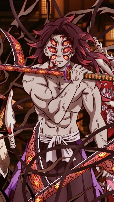 Anime Demon Slayer: Kimetsu no Yaiba, Kokushibo (Demon Slayer), 1440x2560