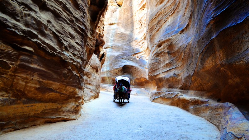Jordan, Petra, rocks, horse, 4k