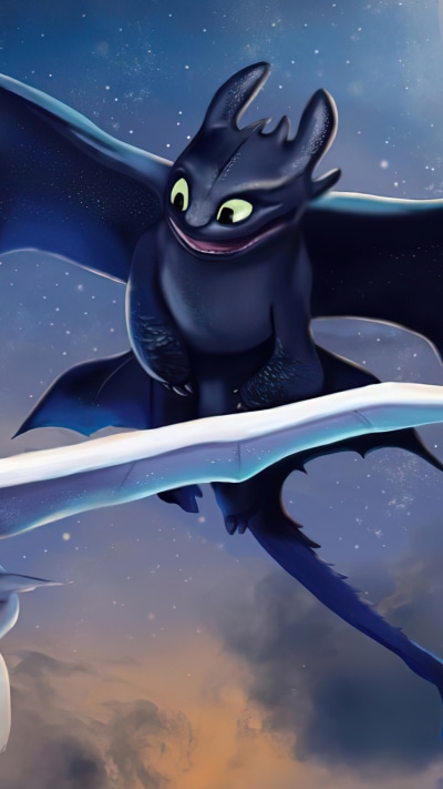 Movie How to Train Your Dragon: The Hidden World, Dragon, Toothless (How To Train Your Dragon), Night Fury, How To Train Your Dragon, 1440x2560