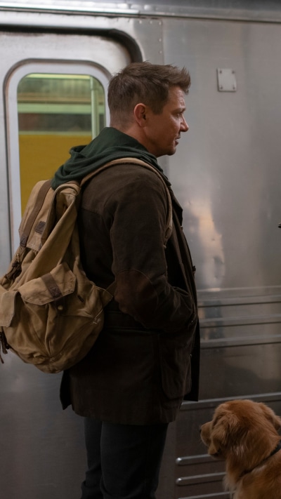 TV Show Hawkeye, Lucky The Pizza Dog, Jeremy Renner, Clint Barton, 1440x2560