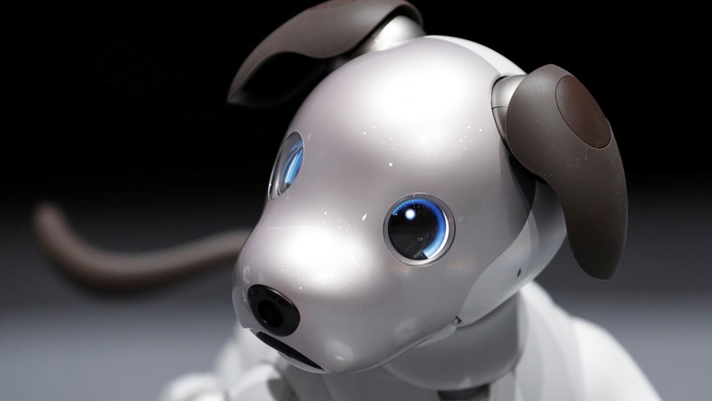 Sony Aibo, robot, dog, 4k