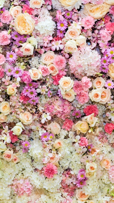 Earth Flower, Pastel, Daisy, Peony, Colorful, Pink Flower, 1440x2560