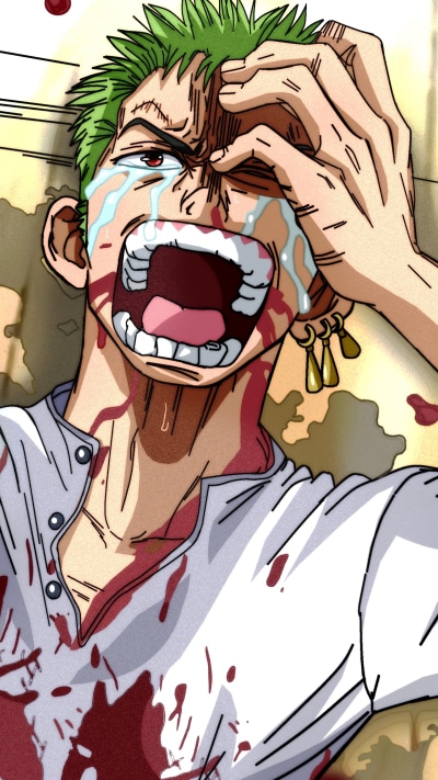 Anime One Piece, Roronoa Zoro, 1440x2560