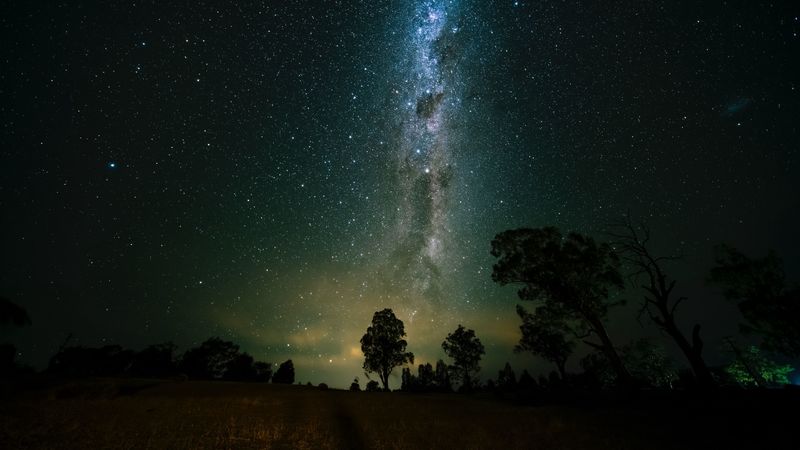 space, trees, starry sky, 4k