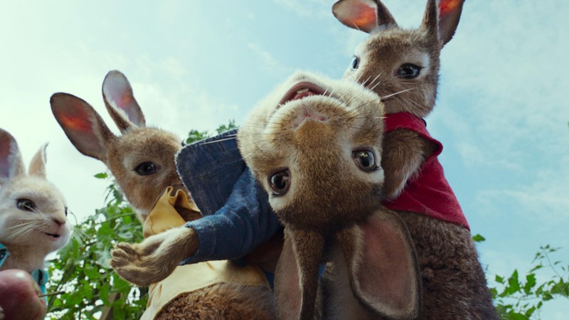 Peter Rabbit, 4k