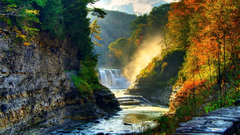 Autumn forest, 4K, rocks trees, plants, waterfall, river