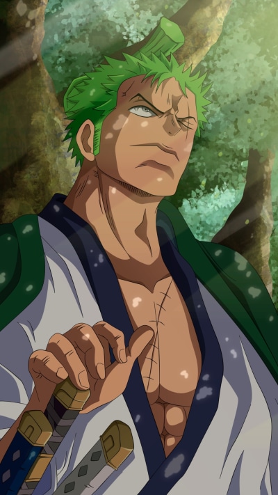 Anime One Piece, Roronoa Zoro, 1440x2560