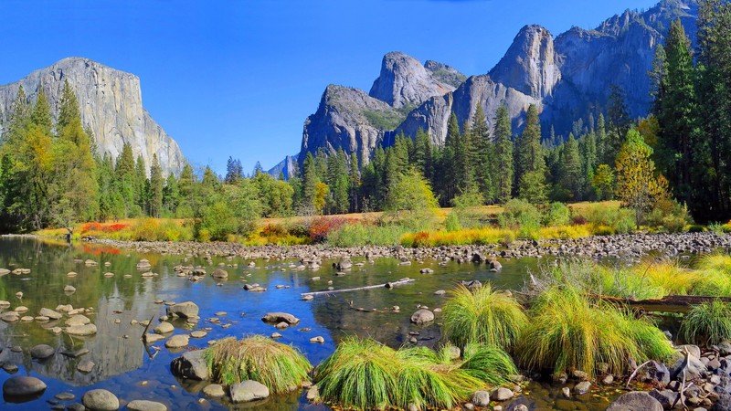 Yosemite, 4k, forest, OSX, apple, mountains