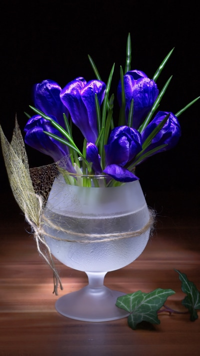 Man Made Flower, Glass, Crocus, Still Life, Blue Flower, 1440x2560