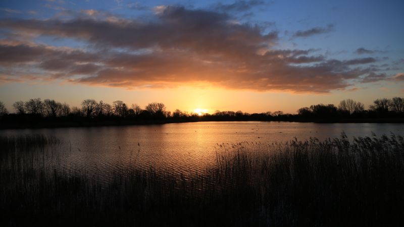 sunset, water, glare, grass, 4k