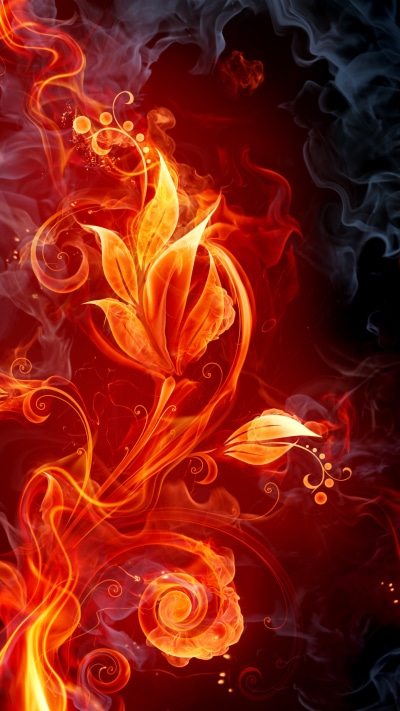 Artistic Flower, 1440x2560