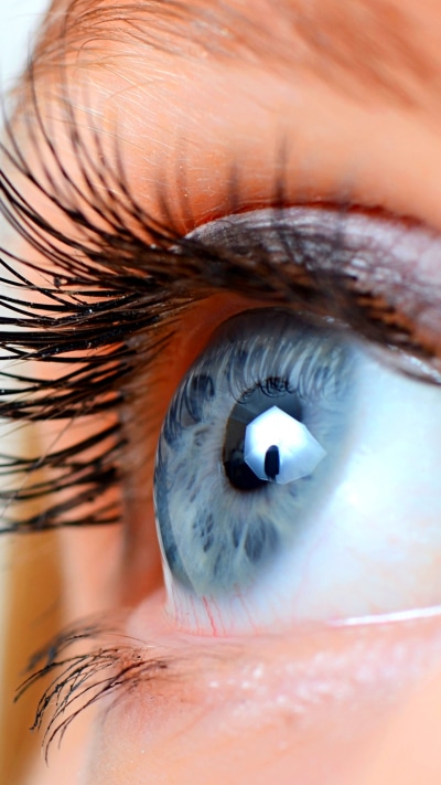 Women Eye, Blue Eyes, Macro, 1440x2560