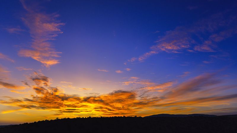 sunset, sky, clouds, trees, silhouette, 4k