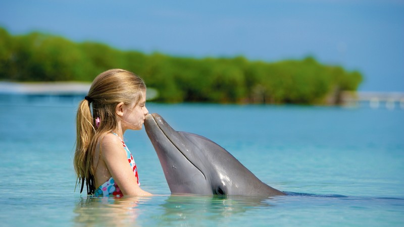 Girl and dolphin, ocean, Maldives