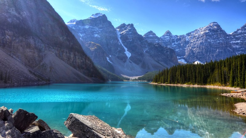 Lake, 4k, Mountains. Forest, Pine