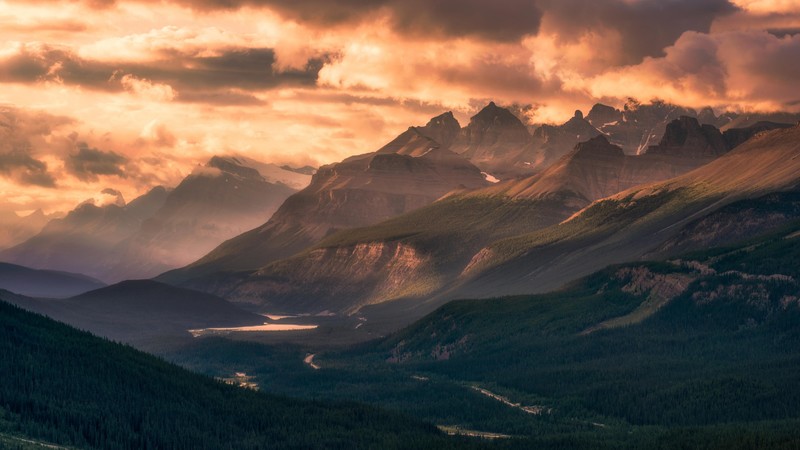 mountains, forest, clouds, 4k