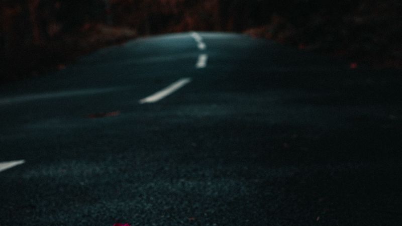 mask, road, petals, 4k