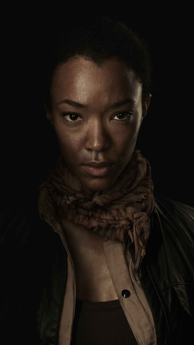TV Show The Walking Dead, 1440x2560