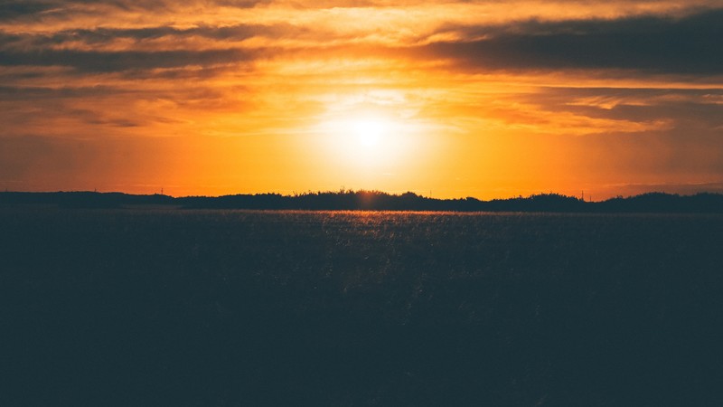 sunset, field, 4K