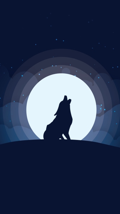 Animal Wolf, Howling, Night, Moon, 1440x2560