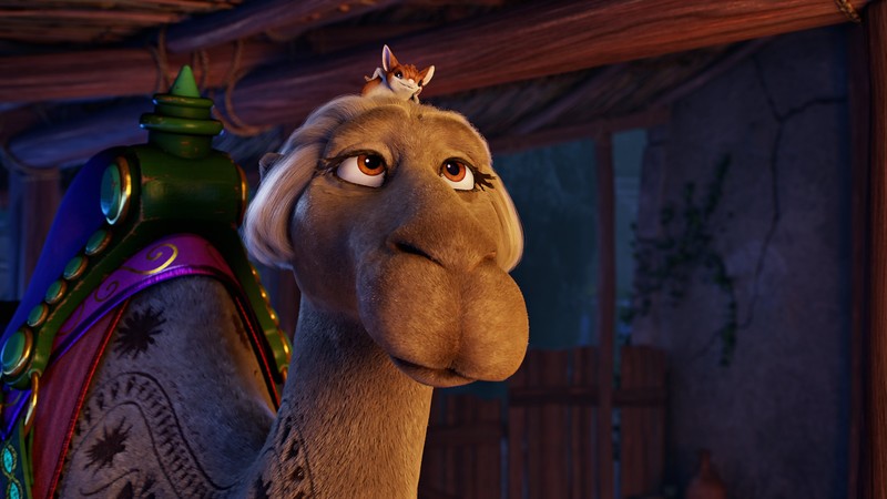 The Star, camel, 4k