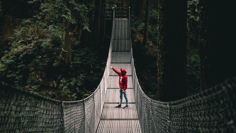 lonely, loneliness, bridge, forest, 4k