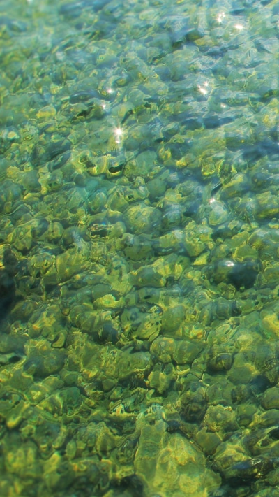 Earth Water, Earth, Sparkles, 1440x2560