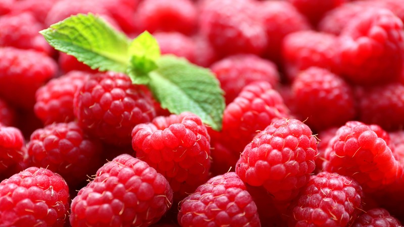 raspberries, delicious, 4K