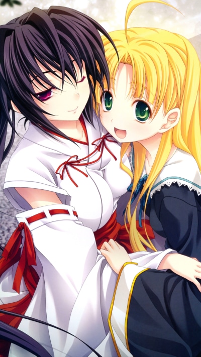 Anime High School DxD, 1440x2560