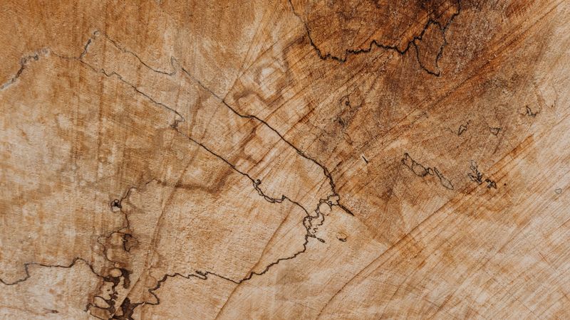 wooden, texture, surface, stains, 4k