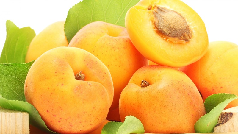 apricot, 4K