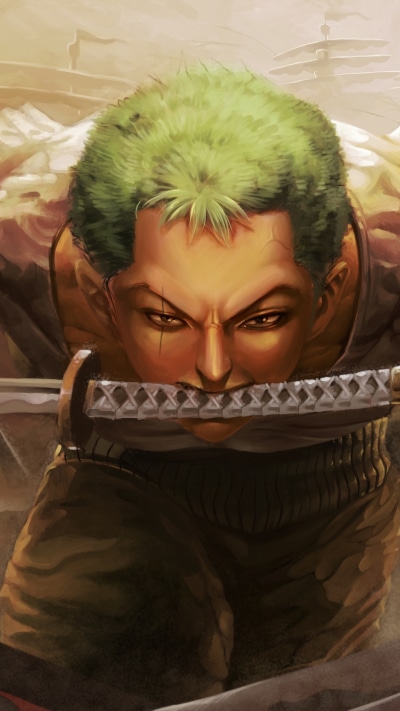 Anime One Piece, Roronoa Zoro, 1440x2560