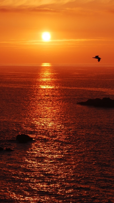 Earth Sunset, Sea, Ocean, Orange (Color), 1440x2560