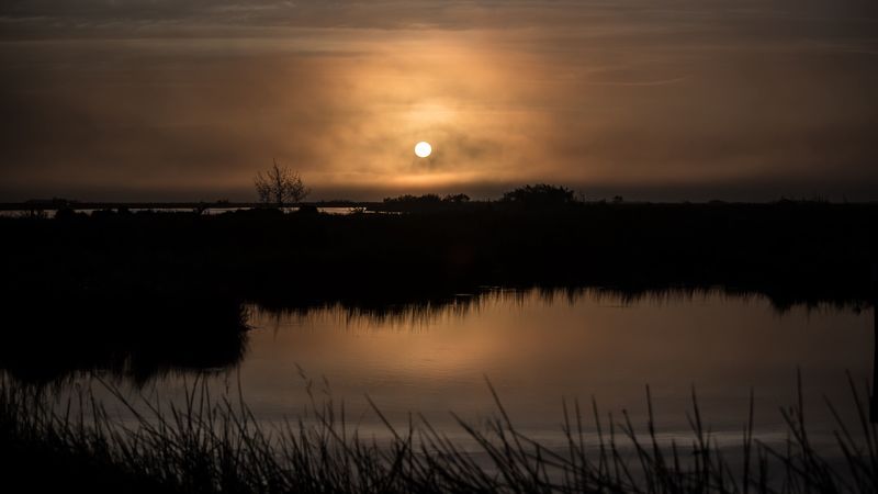 sun, sunset, grass, horizon, 4k